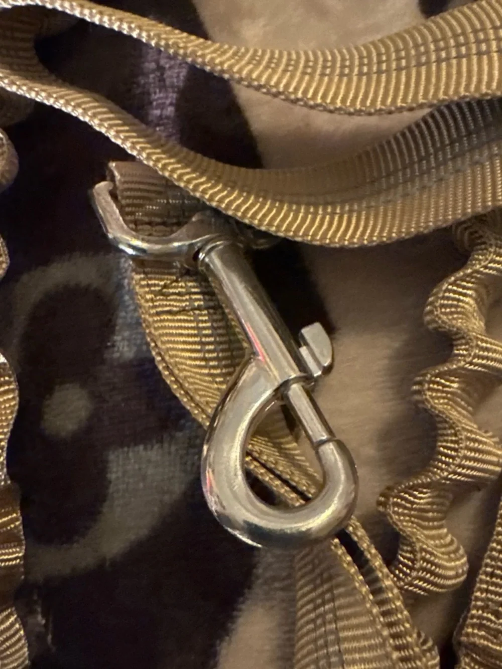 Tactical Heavy-Duty Dog Leash in Tan